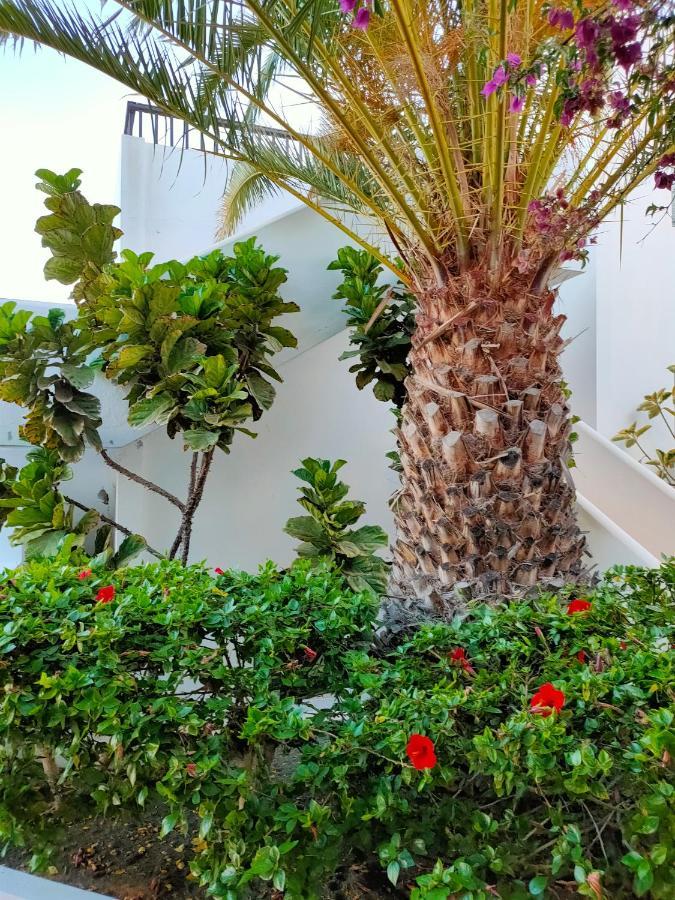 Appartamento Flor De Cactus Costa Teguise Esterno foto